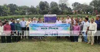 ঠাকুরগাঁওয়ে বারি পেঁয়াজ-৫ বীজ উৎপাদনের লক্ষ্যে কৃষকদের নিয়ে মাঠ দিবস